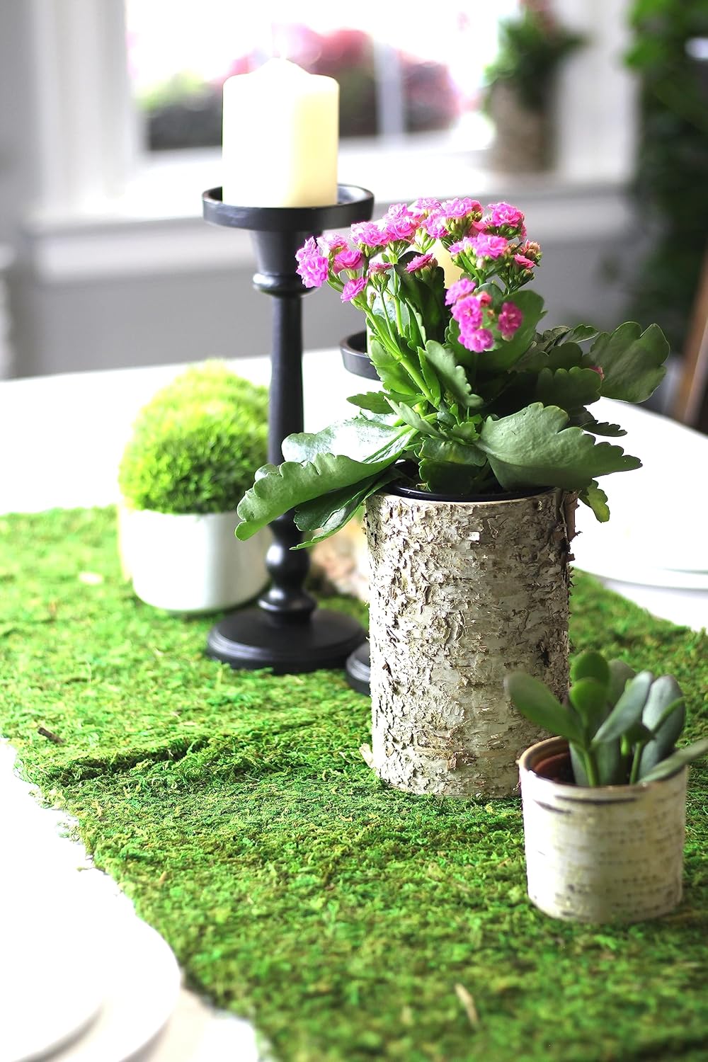 Preserved Moss Runner and Mats (18in x 48in Runner)