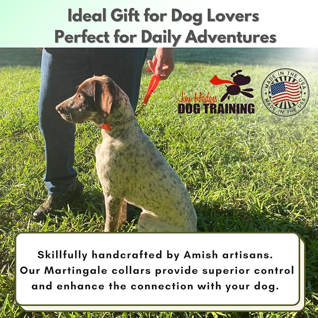 Foto 8 de 8 de JIM HODGES DOG TRAINING Collar Martingale para Perros, biothane, herrajes de Acero Inoxidable, sin tirones