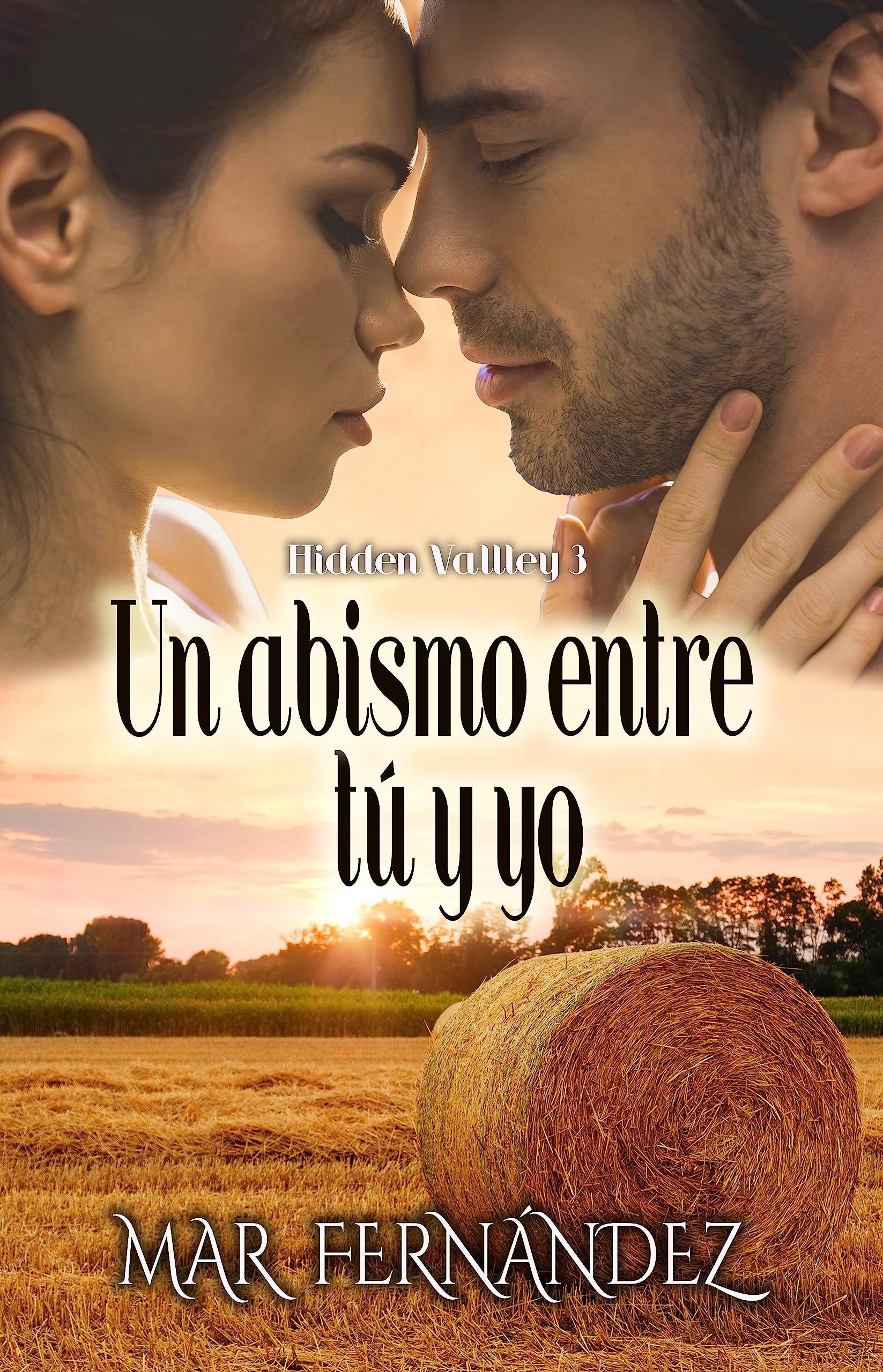Un abismo entre tú y yo (Hidden Valley nº 3) (Spanish Edition)