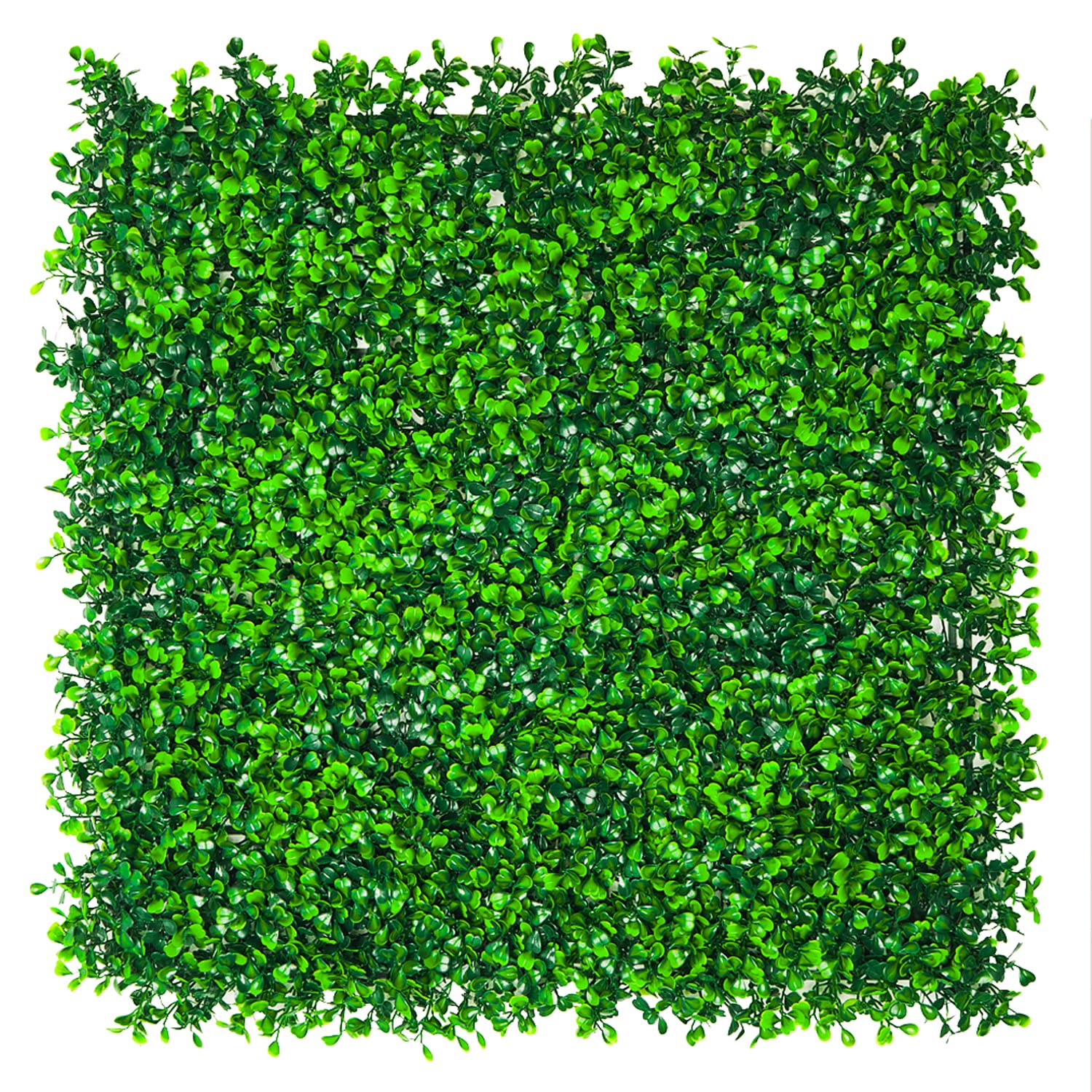 Buy LMQSCH Artificial Boxwood Hedge Grass Wall with Lights 12 PCS 20