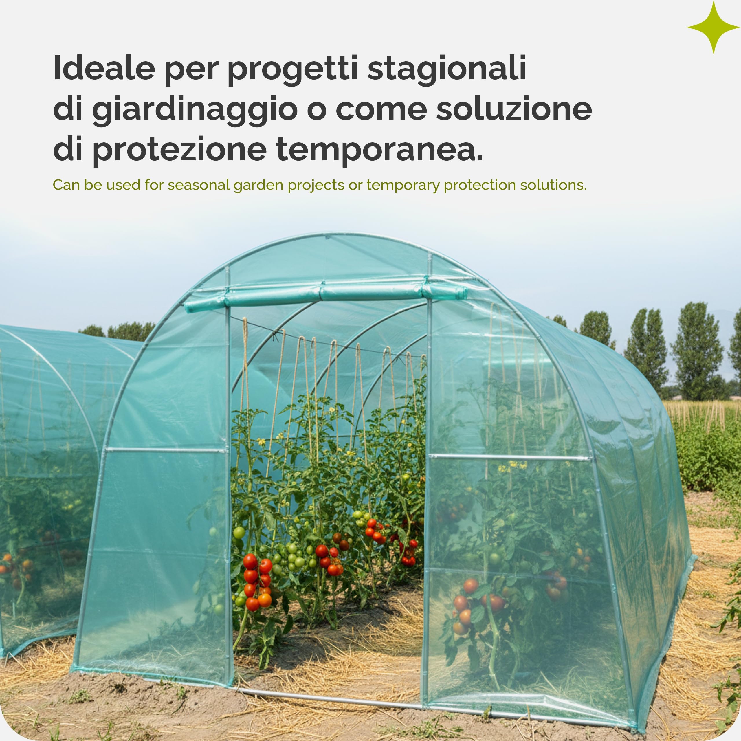 Garronda Telo Serra Trasparente Verde 6 x 12 m Pellicola in Plastica LDPE Stabilizzato UV Copertura Serra Resistente agli Strappi per Tunnel Giardino Orto Protezione Piante GD-0198