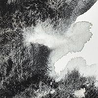 Vista 147 de Winsor & Newton - Pintura para acuarela profesional