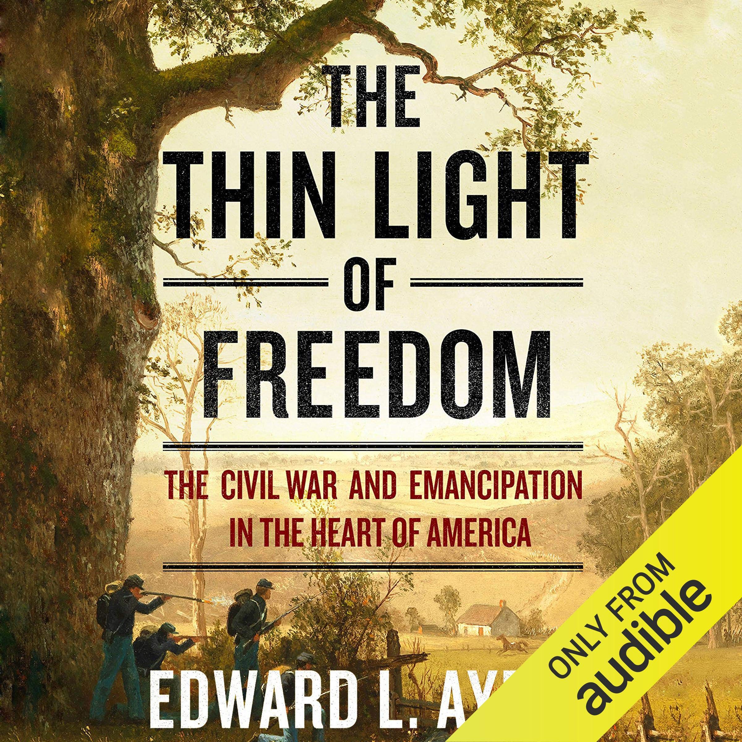 Cover art for The Thin Light of Freedom