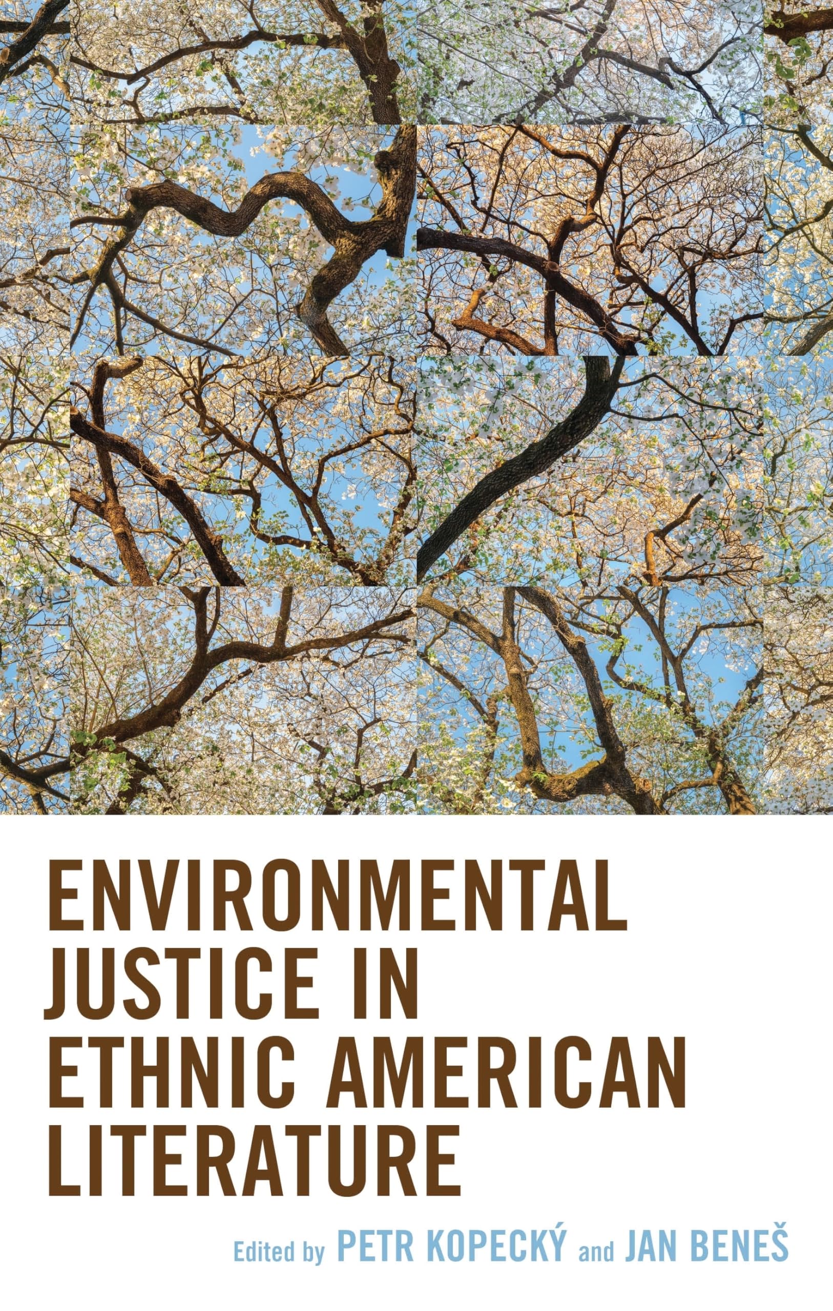 Environmental Justice in Ethnic American Literature (Ecocritical Theory and Practice)