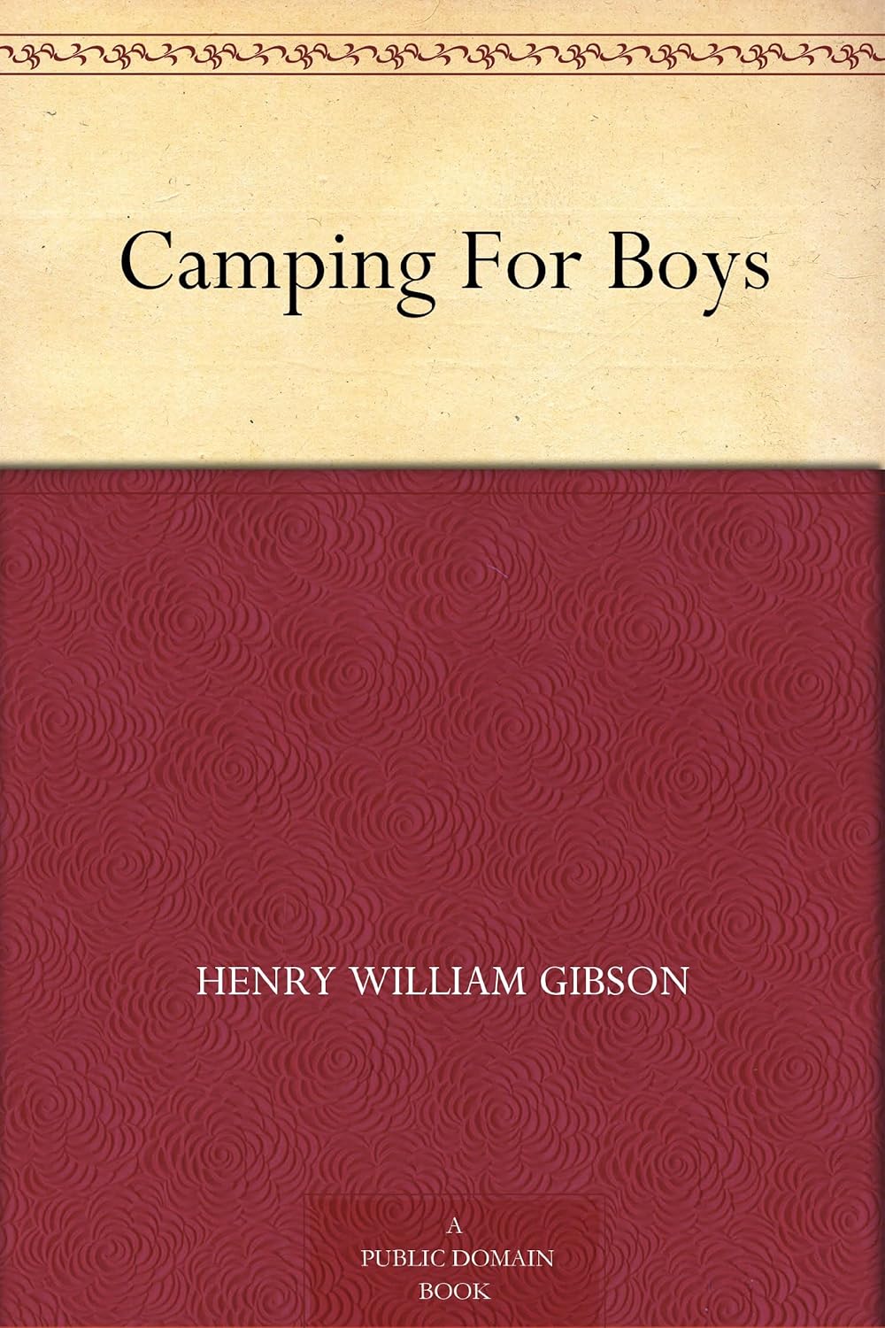 Camping For Boys      Kindle Edition