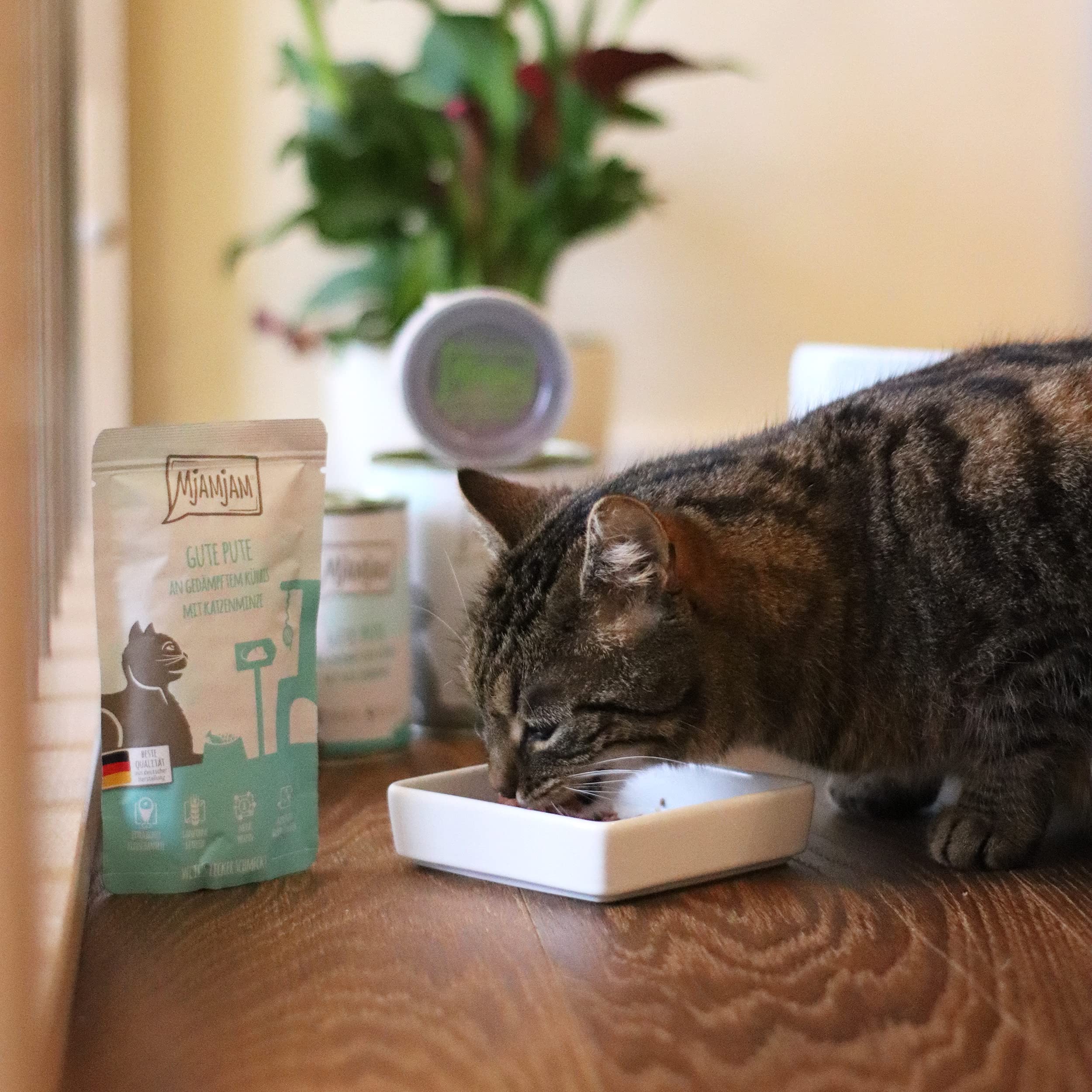 MjAMjAM - Nourriture Humide Pour Chat Sans Céréales, Lots De 6 Boîtes De 400g : Dinde Et Carottes, Chat Adulte