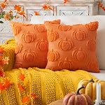 Pompe d'automne Couvertures d'oreillers à jet orange 18x18, Ensemble de 2 Décorations d'Action de grâces d ́Halloween Oreillers à l ́automne intérieur pour les fêtes de canapé Couch
