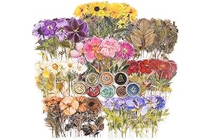 (320 Pack) Pressed Flower Themed Sticker Set