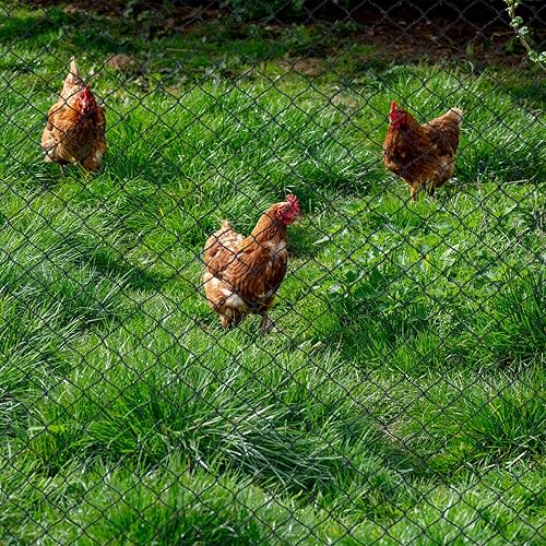 Miniatura 8 de Red para pájaros de 15 x 15 pies, red de ciervo resistente, malla de jardín para arbustos de arándanos, malla de malla de 12 pulgada para protección