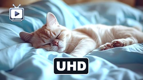 Relaxing Sleep Music for Cats - Calming Ambience Screensaver For Tablets And Fire TV – vue 9