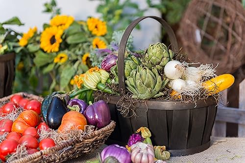 Miniatura 4 de SuperMoss Musgo Español Conservado, Coffee