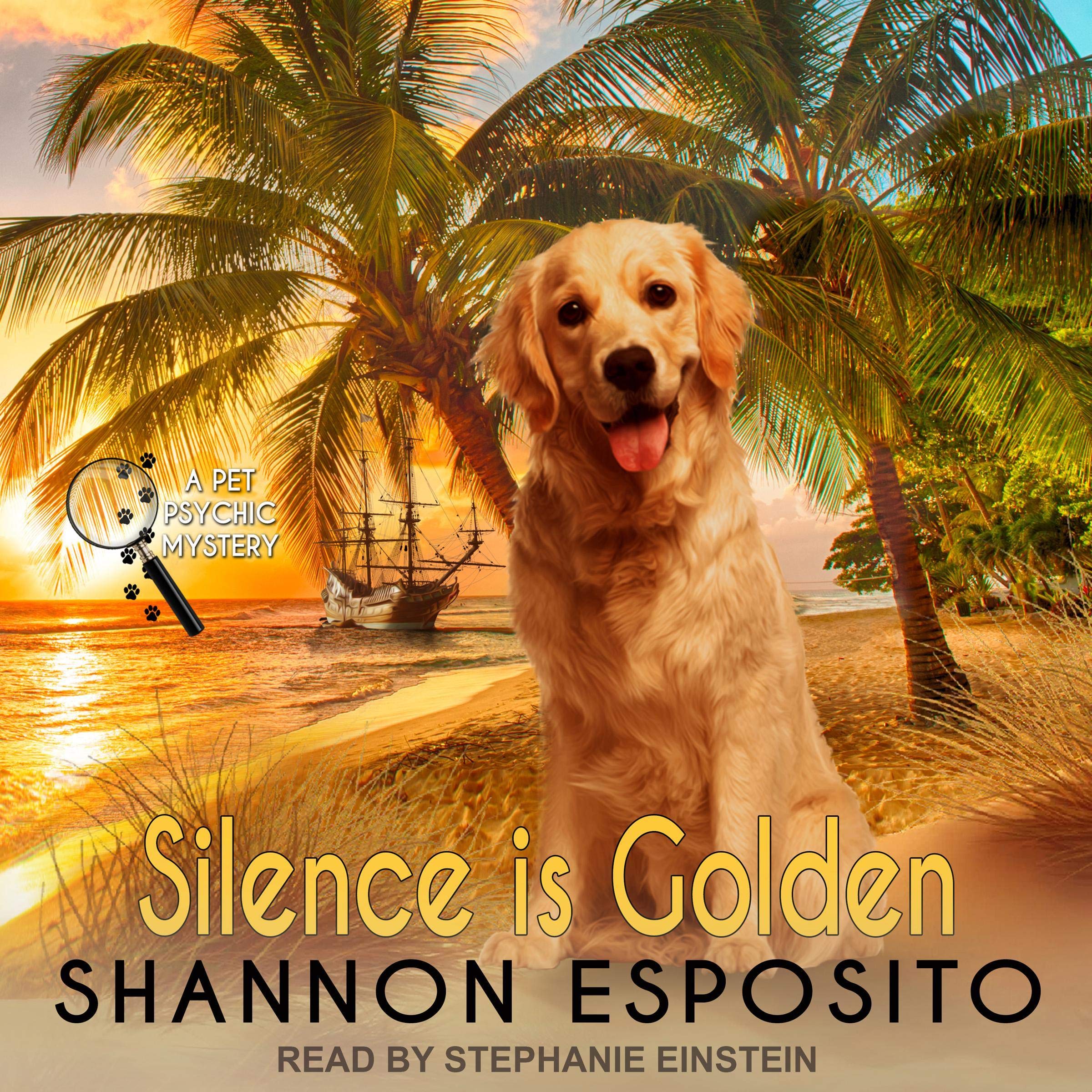 Cover art for Silence Is Golden