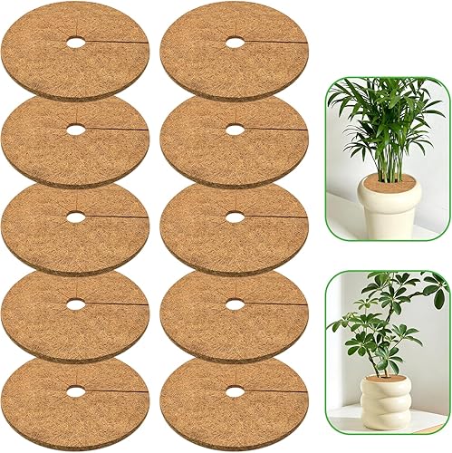 ZeeDix Pack de 10 anillos de mantillo de fibra de coco, anillo de mantillo de coco coir de 6 pulgadas, protector de árbol 100% natural, anillo de