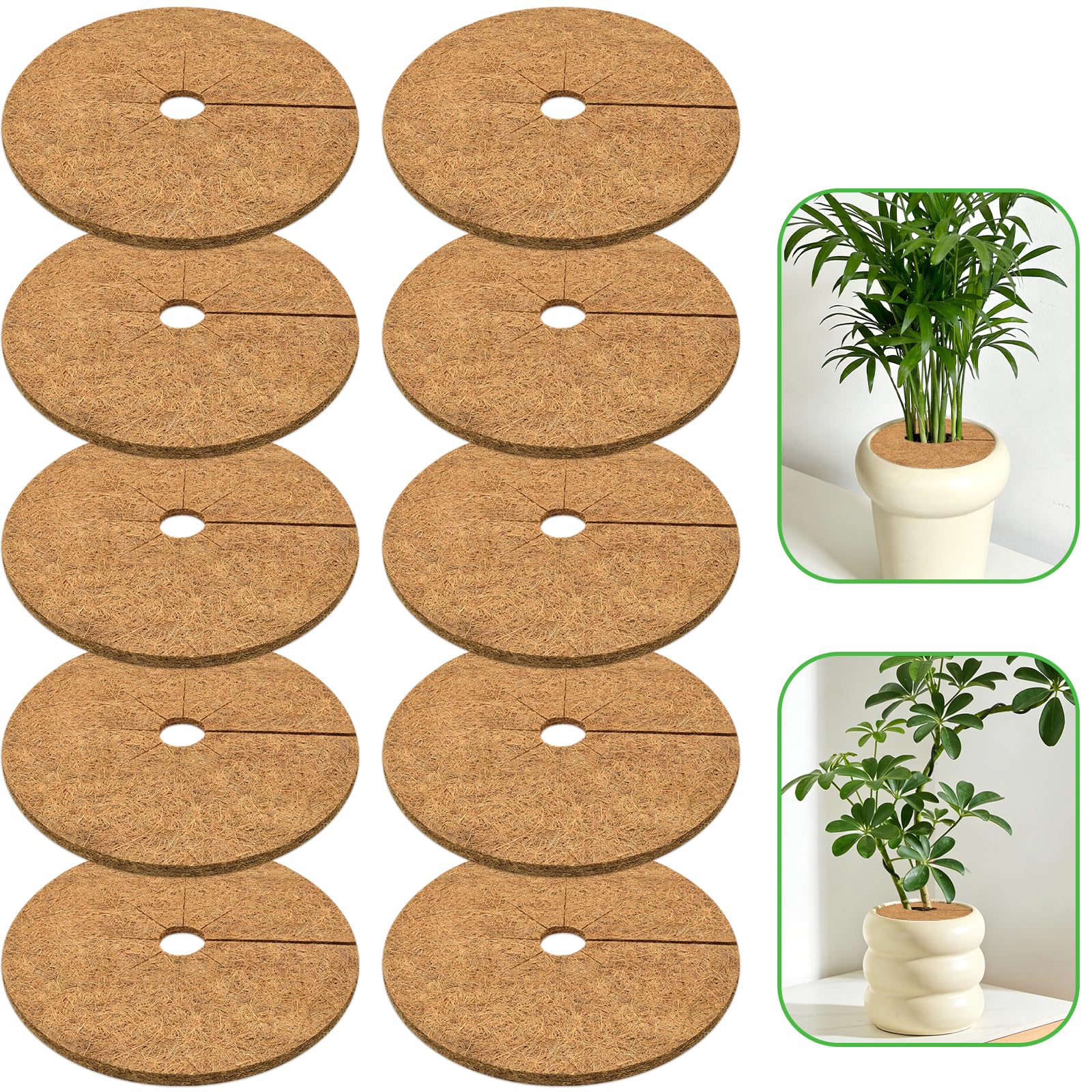 ZeeDix 6 Inch Coconut Fiber Tree Ring Mulch Mat, 10 Pack Tree Mulch Ring 6 Inch 10 Pack