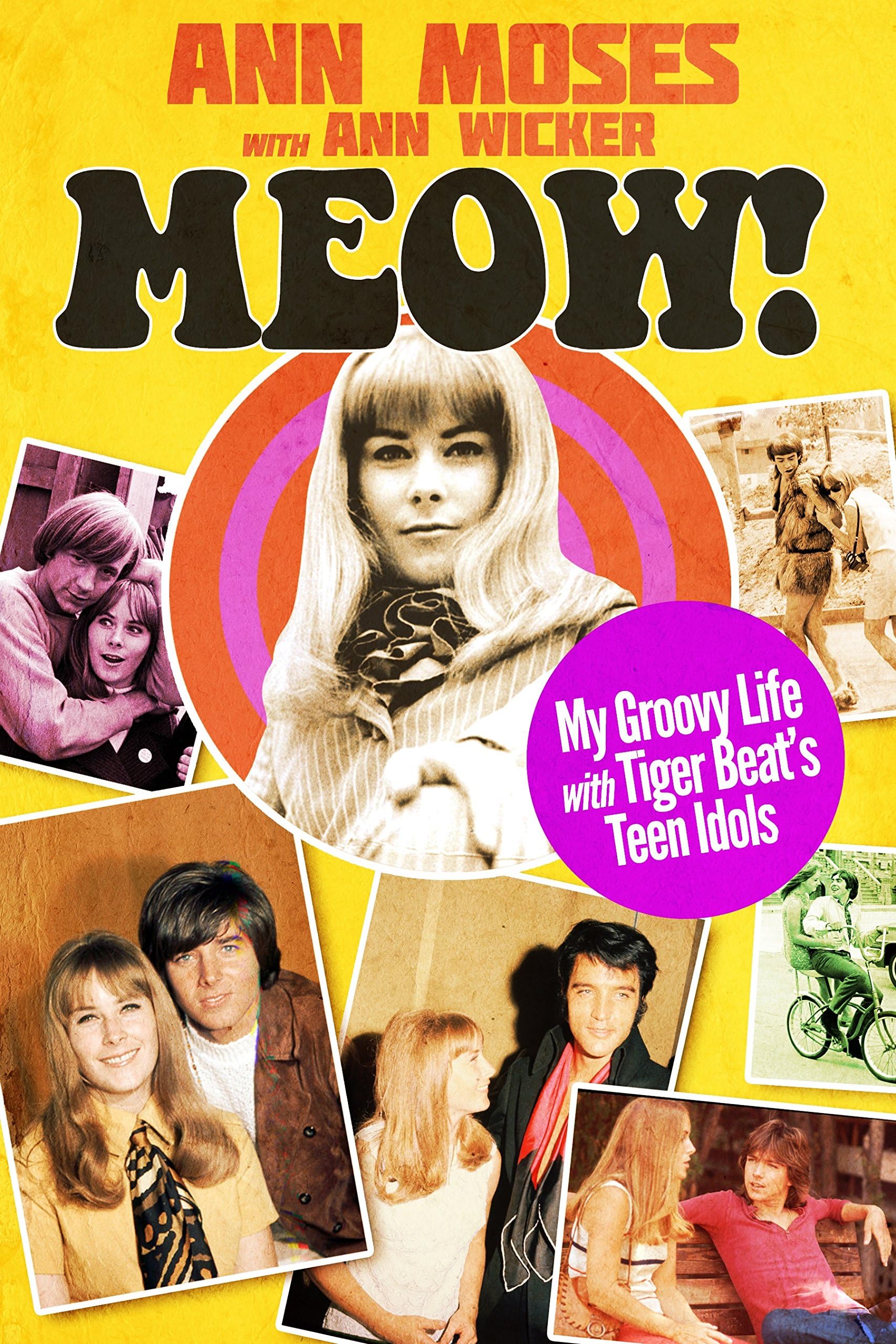 Meow! My Groovy Life with Tiger Beat’s Teen Idols