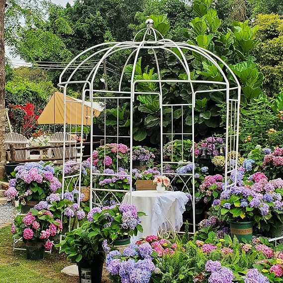 Birdcage Shape Garden Arches Arbors,9' High x 6.8' Wide,Metal Gazebo White Enduring Iron Trellis Plants Stand Use for Outdoor Garden Climbing Plants Wedding Arches Ceremony