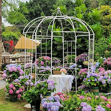 Birdcage Shape Garden Arches Arbors,9' High x 6.8' Wide,Metal Gazebo White Enduring Iron Trellis Plants Stand Use for Outdoor Garden Climbing Plants Wedding Arches Ceremony