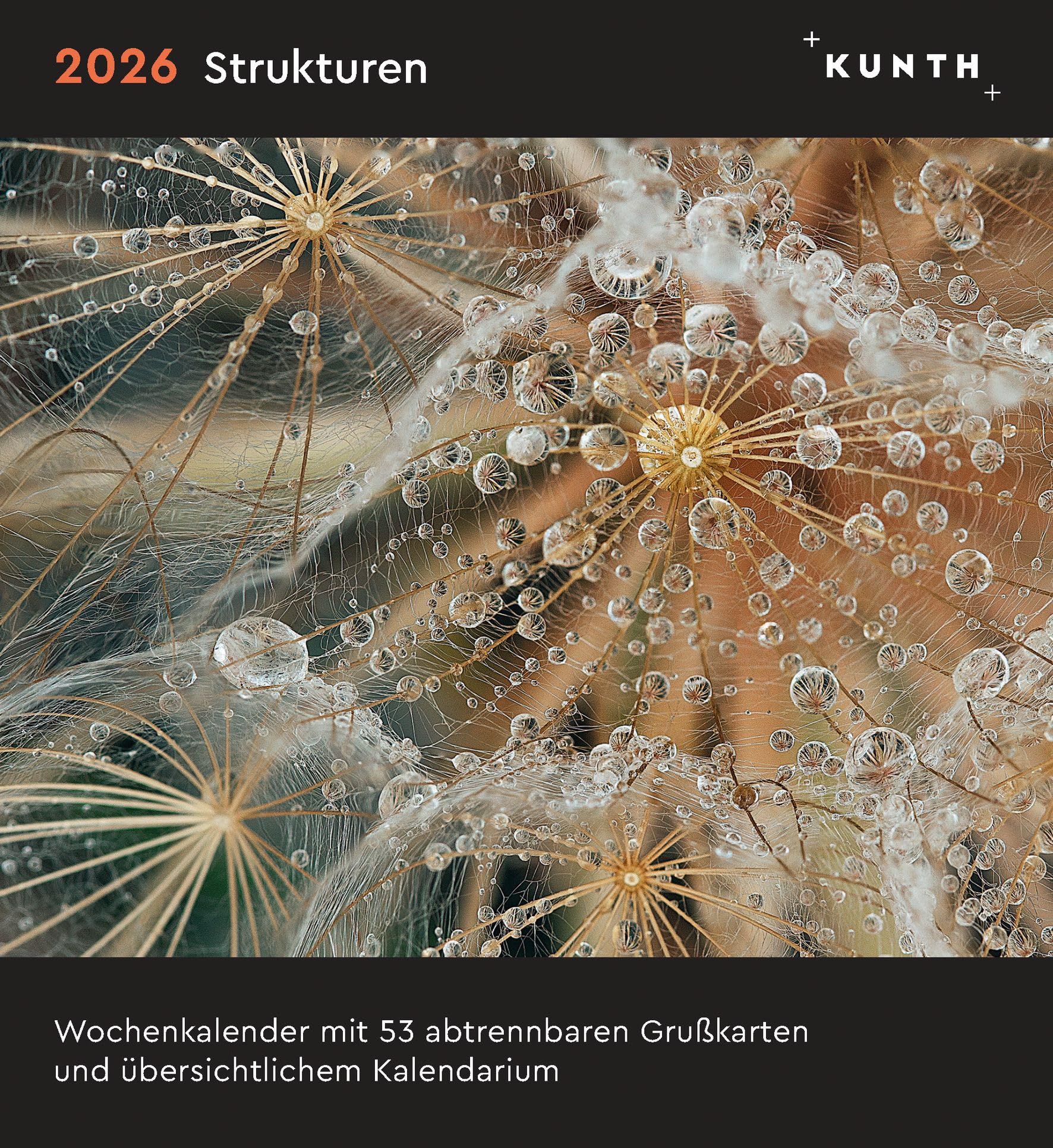 Strukturen - KUNTH Postkartenkalender 2026: Hochwertiger Tischkalender mit 53 traumhaften Postkarten (auch zum Aufhängen) (KUNTH Postkartenkalender 52 Wochen)