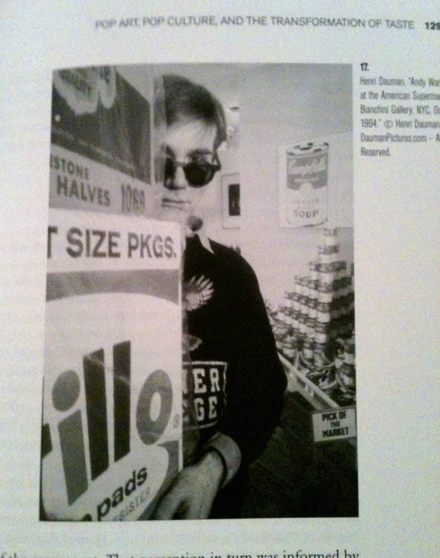 Pop Art and the Contest over American Culture