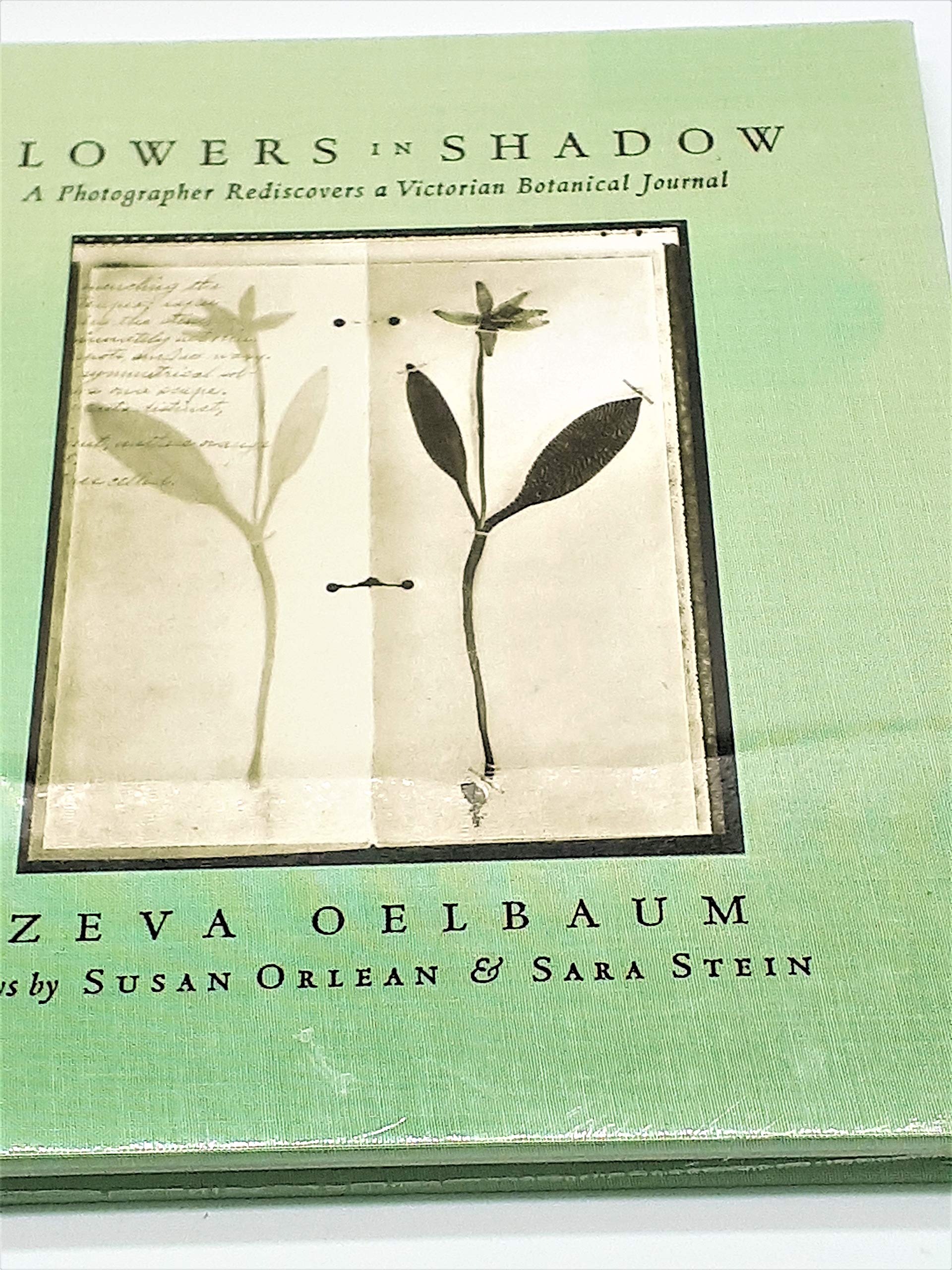 Amazon.co.jp: Zeva Oelbaum: 本、バイオグラフィー、最新アップデート