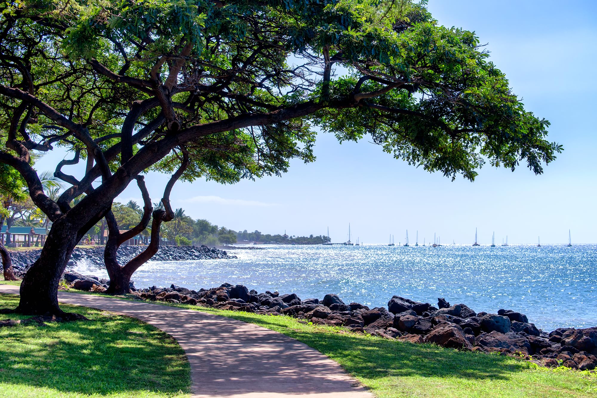 Maui J & M Photography - Lahaina Maui Hawaii Picture - Nautical Coastal Decor, Fine Art Wall Print