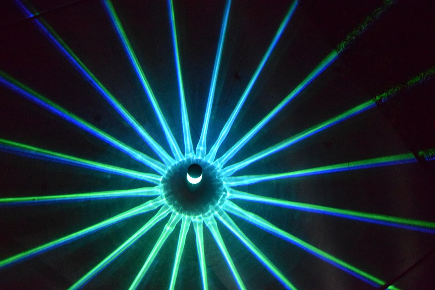 Color Changing Solar Light N’ Doggy Bag Dispenser