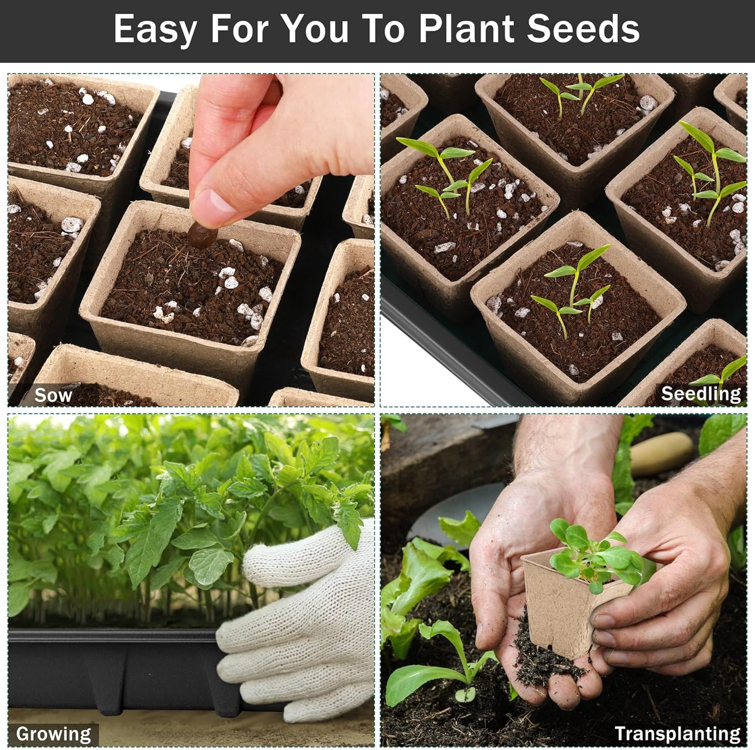 Hahood 6 Pack Seed Starter Tray Kit with 120 Square Peat Pots for Seedlings, Including Plants Labels, Planting Tools, Growing Trays Plastic Germination Tray Paper Starter Pods for Plant Seeds, Black