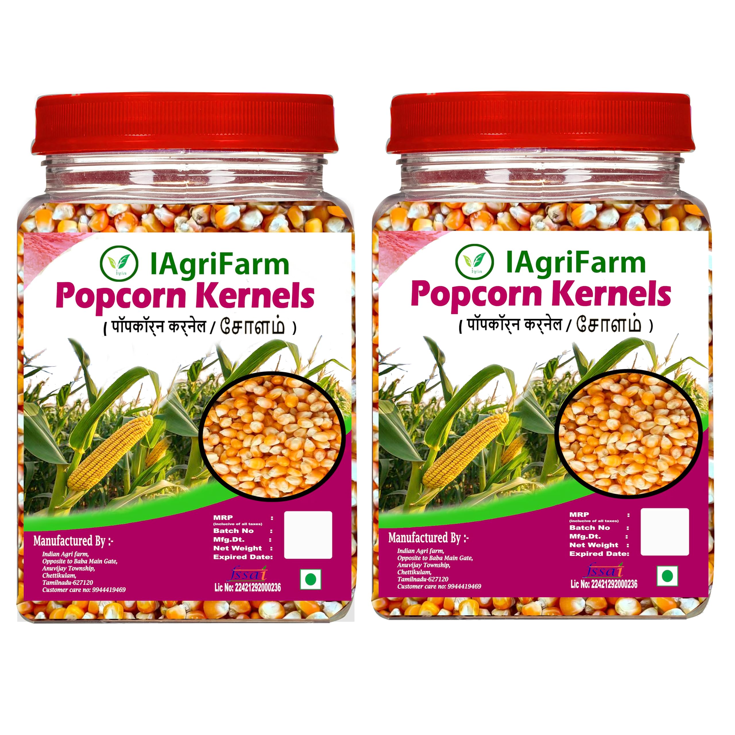 Iagrifarm Popcorn Kernels -2Kg / Popcorn Maize/Ready to Cook/Popcorn Seeds/சோளம்-picture-14
