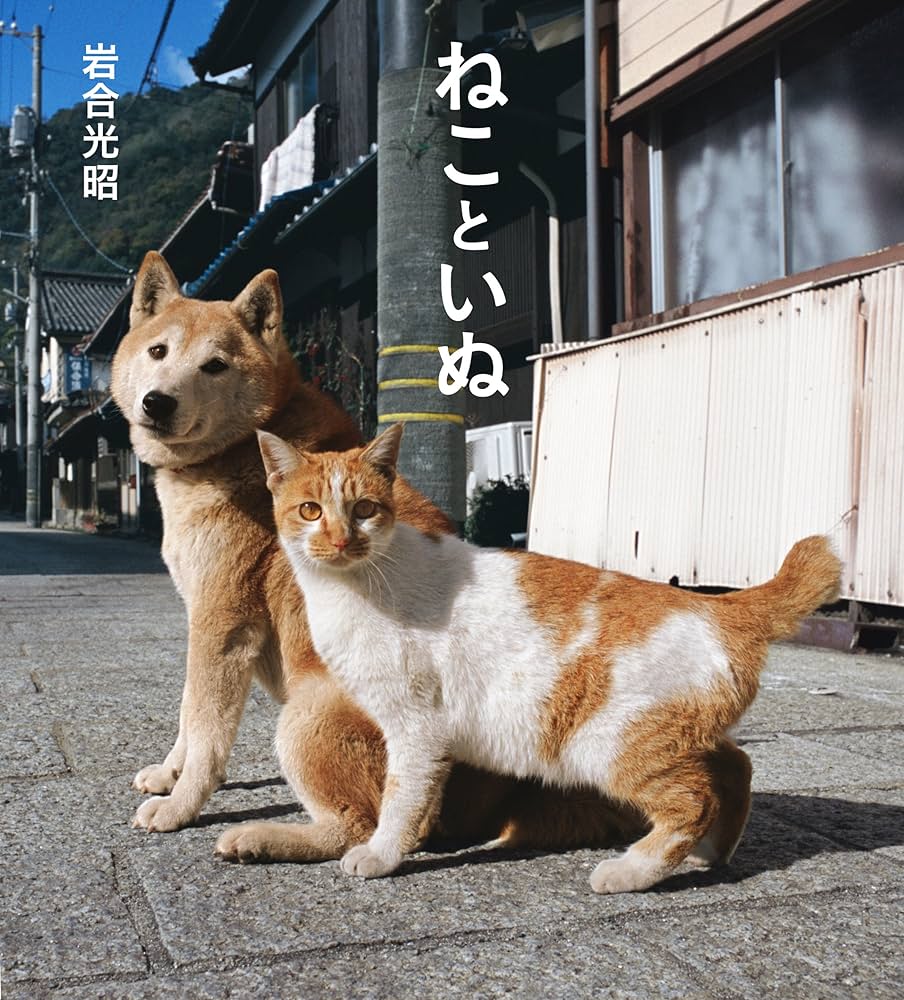 NAO 陶器　クリスマスと遊ぼう　仔犬と子猫 NAO ナオ 仲良しのネコ 02001578 | ブランド洋食器専門店ル
