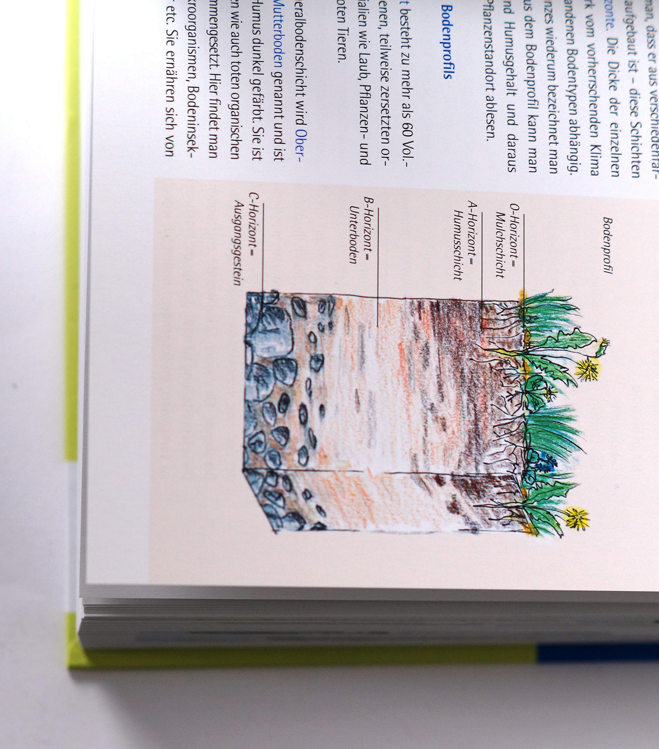 Handbuch Wasser im Garten. Wasser sparen, nachhaltig nutzen, Teiche und Biotope planen und anlegen