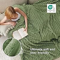 Vista 229 de Bedsure GentleSoft Twin Blanket for Couch - Cozy Soft Blankets for Women, Cute Small Fleece Throws for Girls, Light Grey, 60x80 Inches