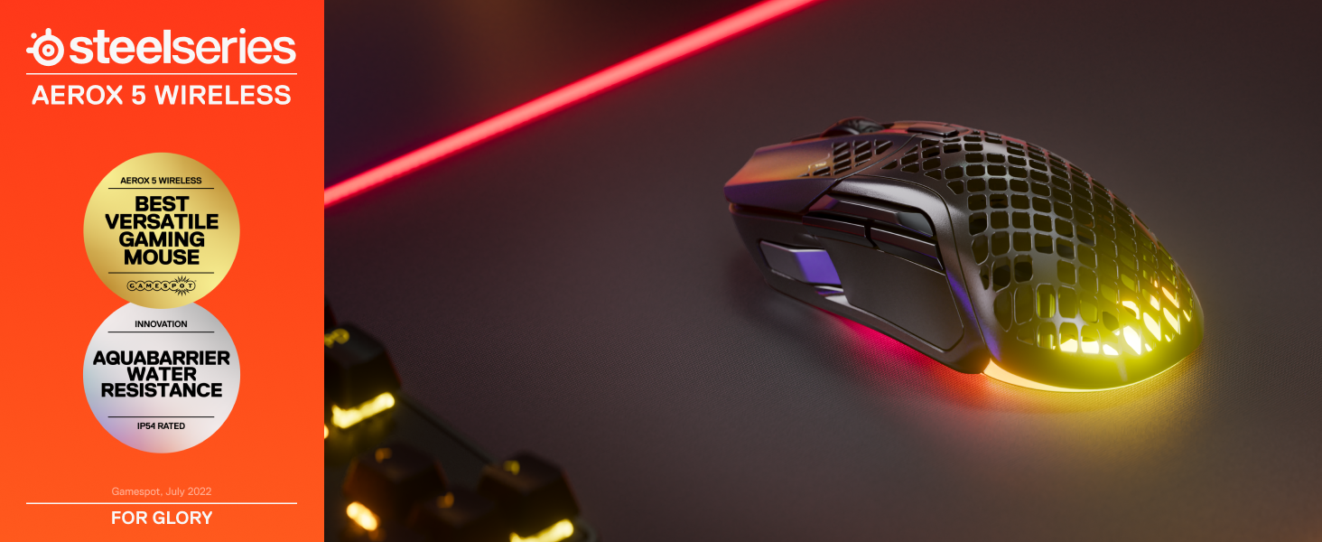 Amazon.com: SteelSeries Aerox 5 Wireless - Holey RGB Gaming Mouse