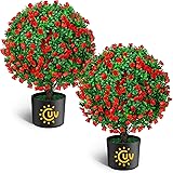 21.6“ Artificial Topiary Ball Trees with Red Flowers Set of 2, UV Protected Outdoor Faux Potted Plants with Cement Pot, Evergreen Shrubs Bushes for Front Door Porch Garden Valentine's Day Decor