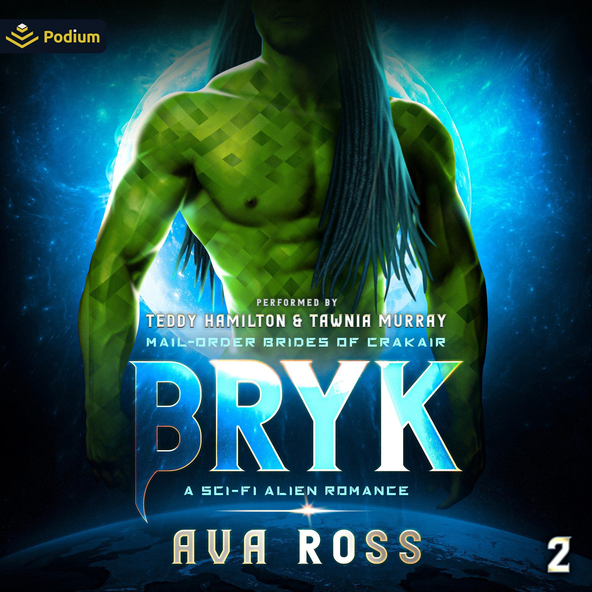 Cover art for Bryk