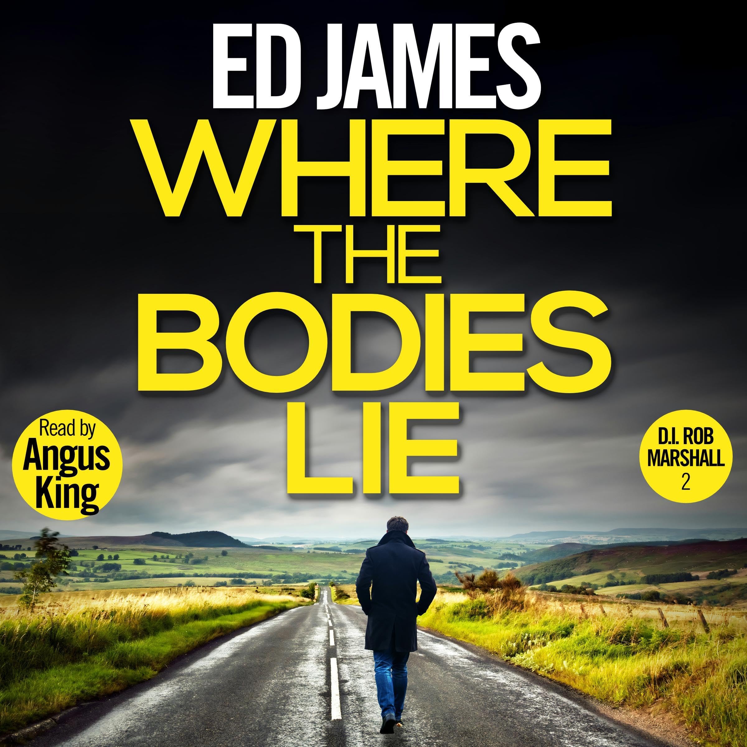 Cover art for Where the Bodies Lie