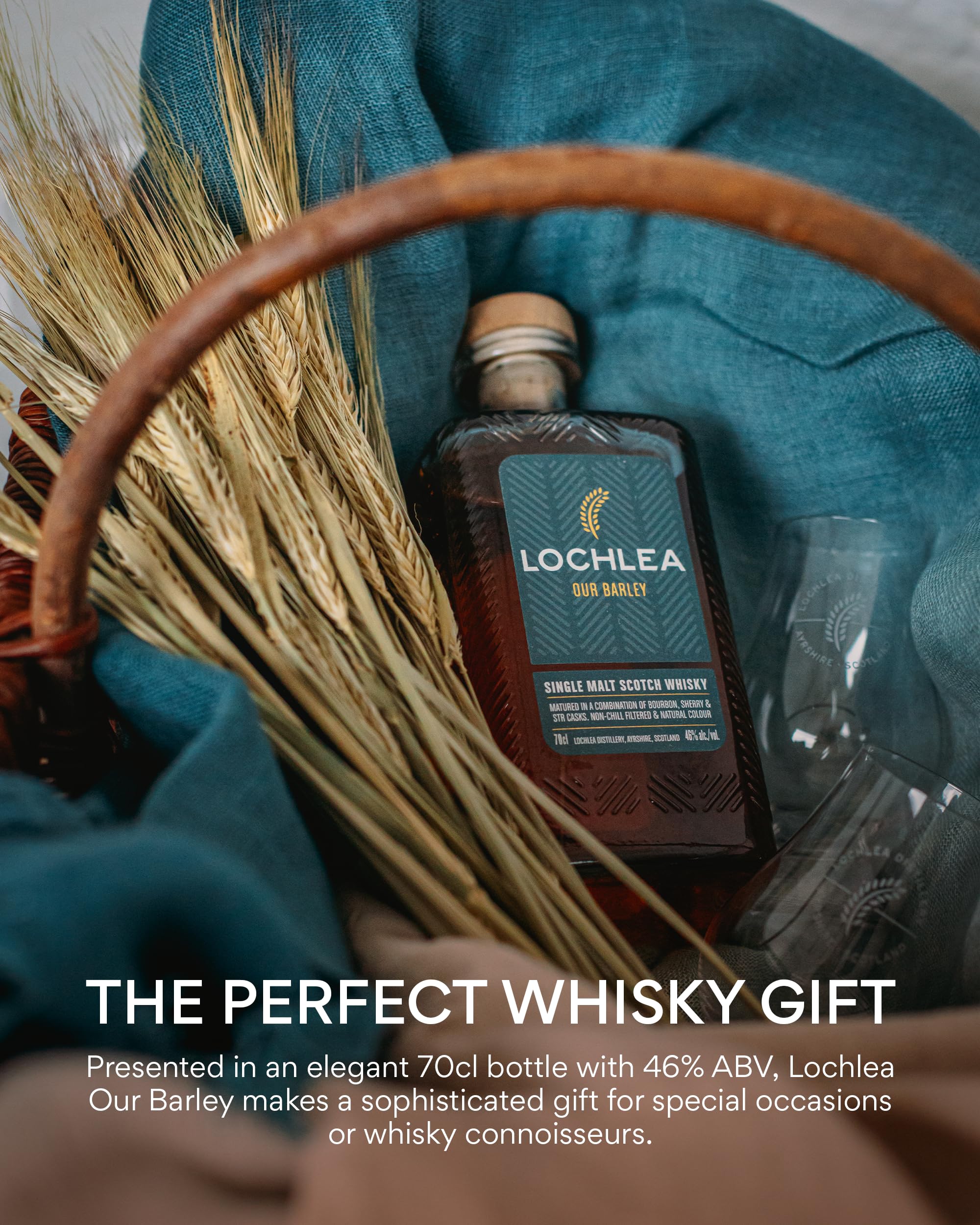 Lochlea Our Barley | Lowland Single Malt Scotch Whisky | 46% ABV