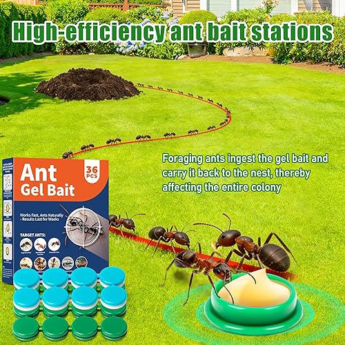 Miniatura 3 de Estaciones de cebo de gel para hormigas, trampas de hormigas de larga duración para interiores y exteriores, para hormigas carpinteras, hormigas