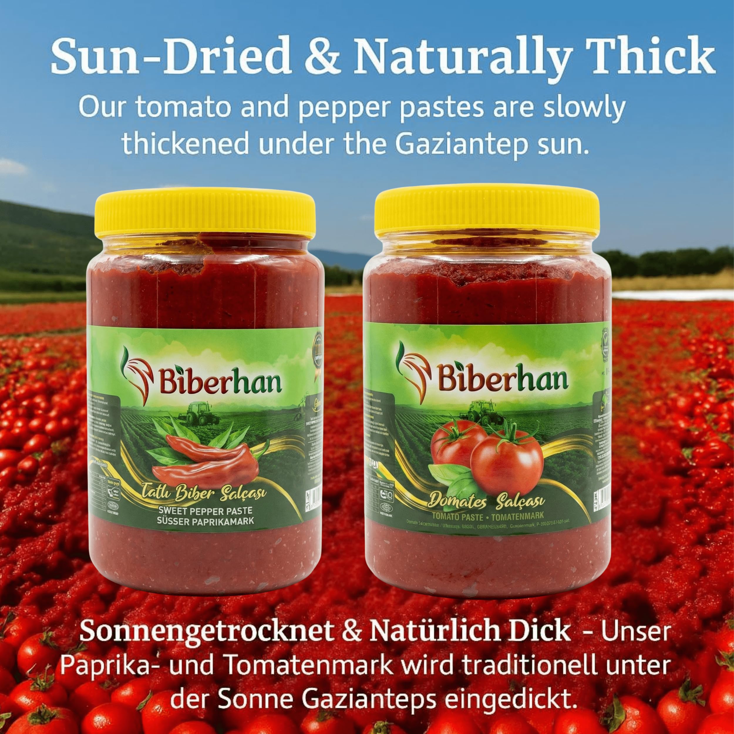 Premium Pasta de Tomate 1000g – Secado al Sol en Gaziantep (Ciudad UNESCO) – Natural, Concentrada, Sin Aditivos, Sabor Intenso y Tradicional