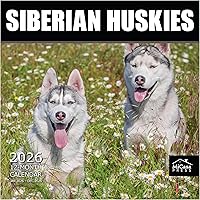 Vista 13 de MICASA PRESS Corgi Butts - Calendario de pared 2026 de 12 meses 12 x 24 pulgadas abierto Papel grueso y resistente Regalo de vacaciones