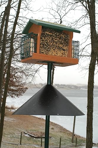 Vista 33 de Brome 2004 Squirrel Solution200 (5.5 x 5.5 x 30 pulgadas) Comedero para pájaros antiardillas con 6 puertos de alimentación, 2 qt/3.4 lb de capacidad