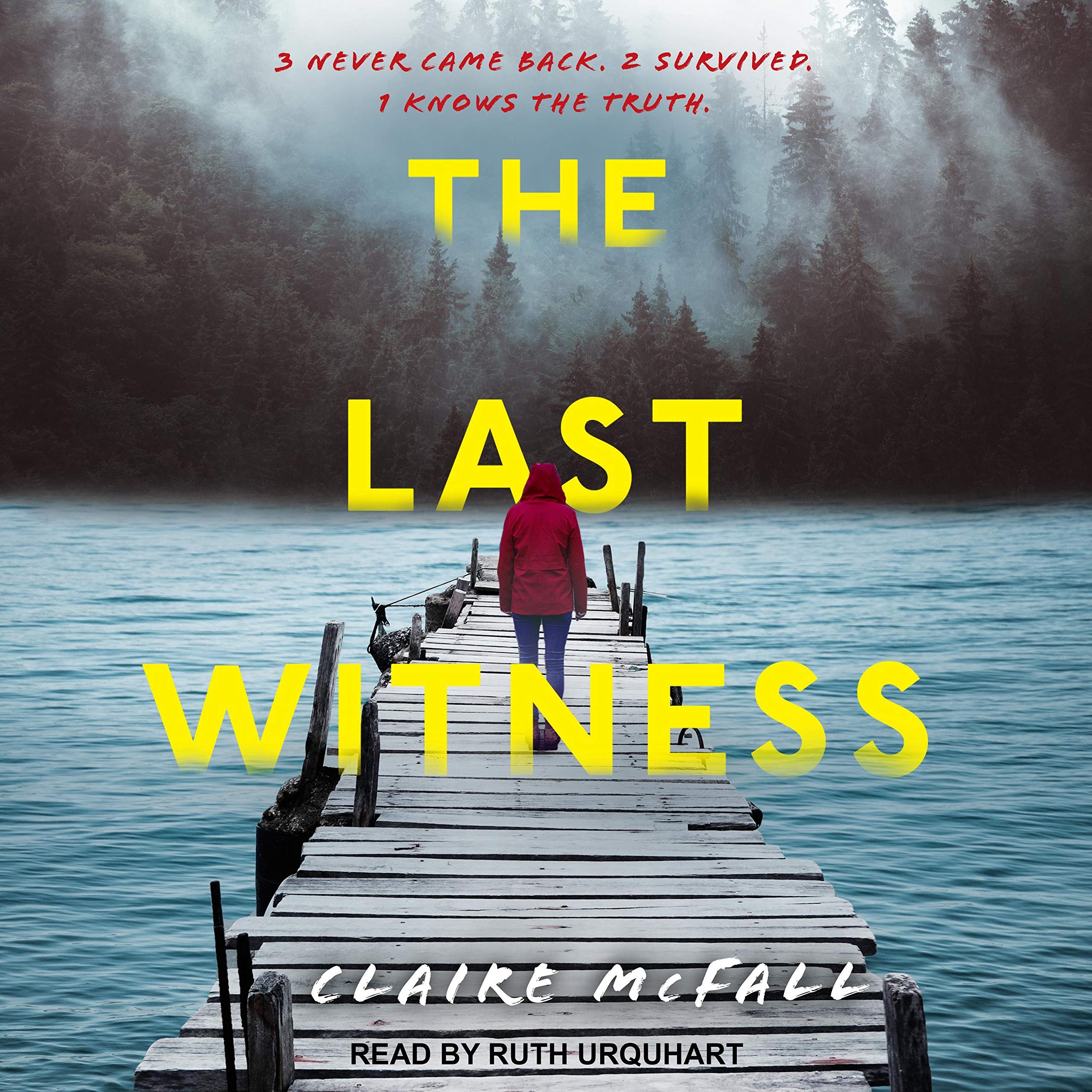 Cover art for The Last Witness