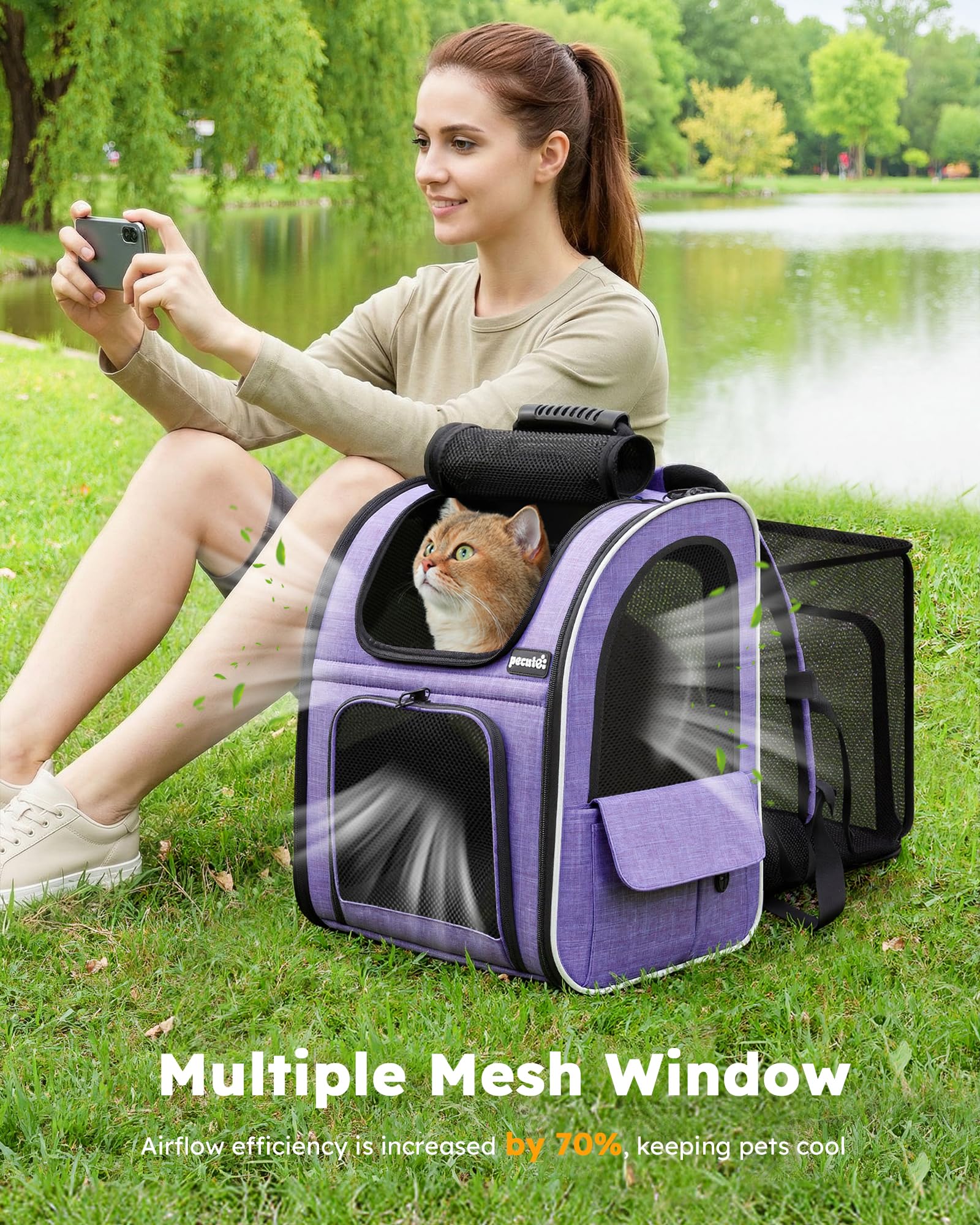https://m.media-amazon.com/images/I/91QOghXRx+L.jpg