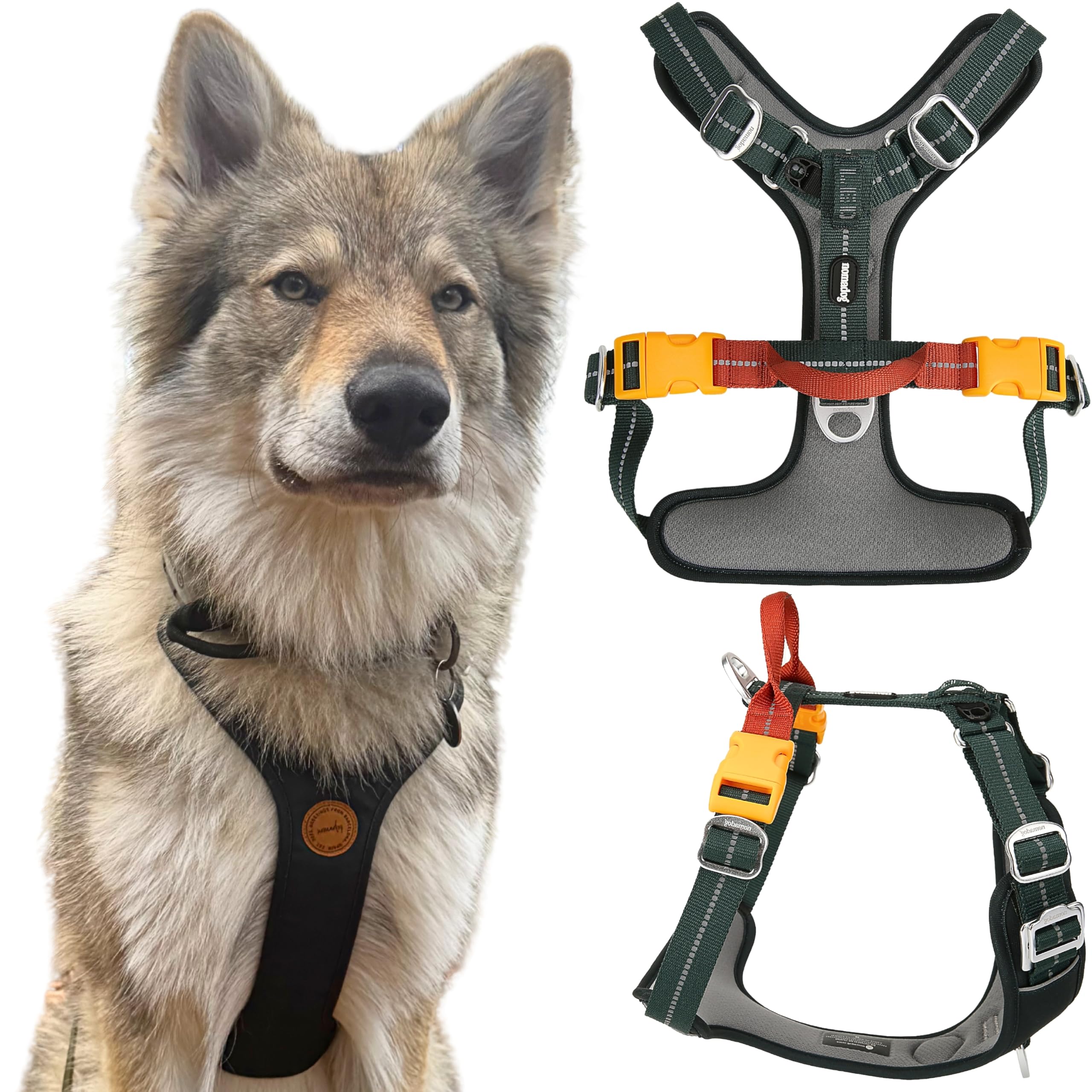 Nomadog Trailblazer Arnes Perro Grande Sin Tirones con Asa - Ajuste Óptimo, Reflectante 3M, Aluminio No Oxidante, Materiales Reciclados - Ideal para Perros Activos (XL)