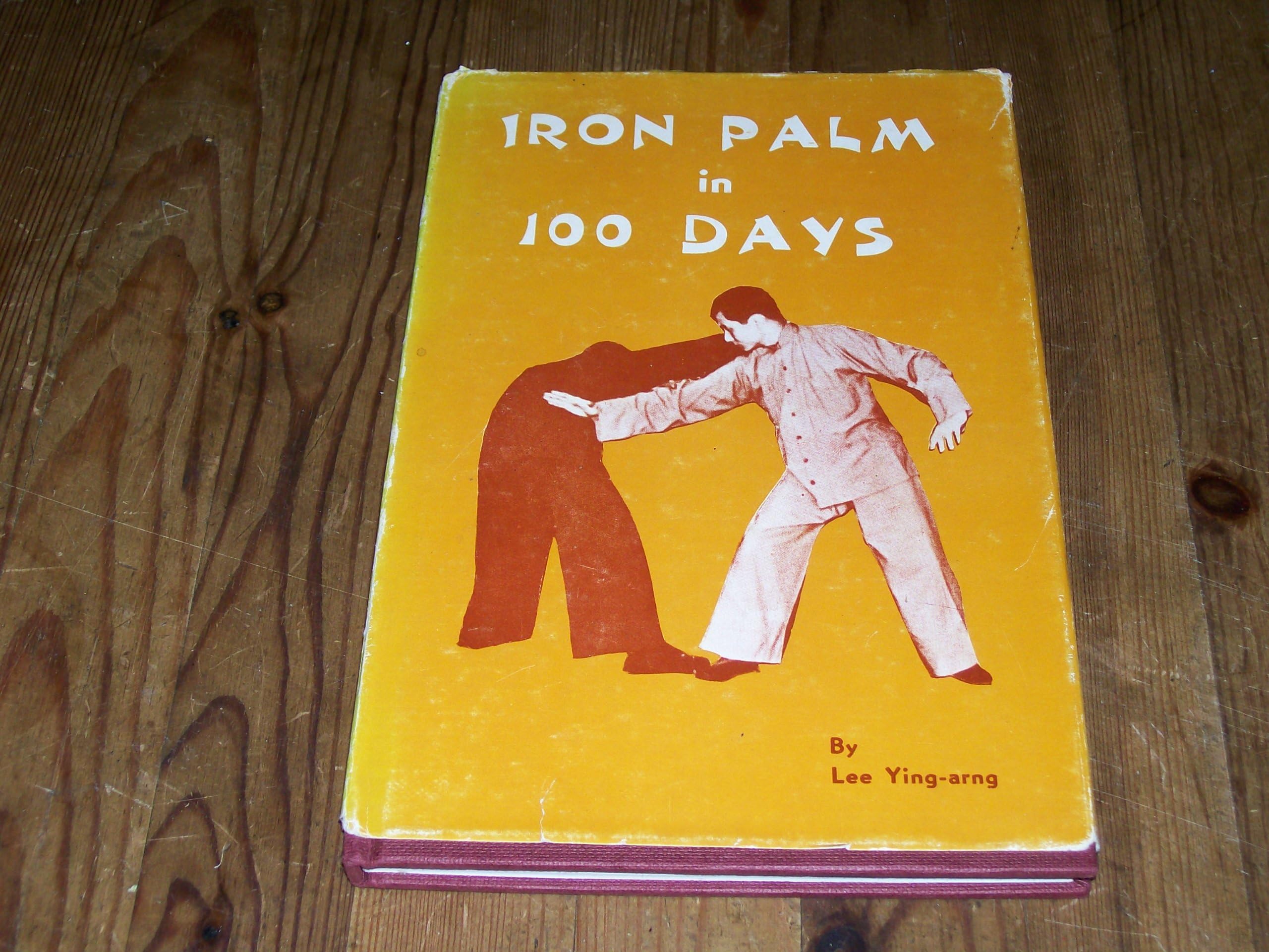 Iron Palm in 100 Days Hardcover