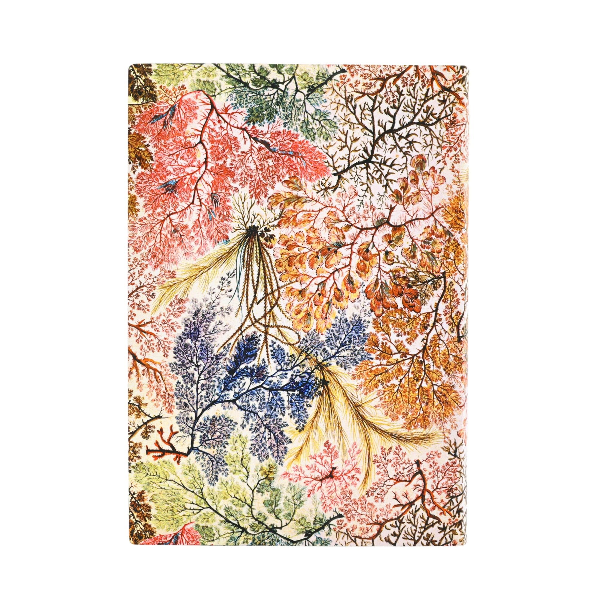 Carnet souple Paperblanks Anémone Midi Ligné 176p.