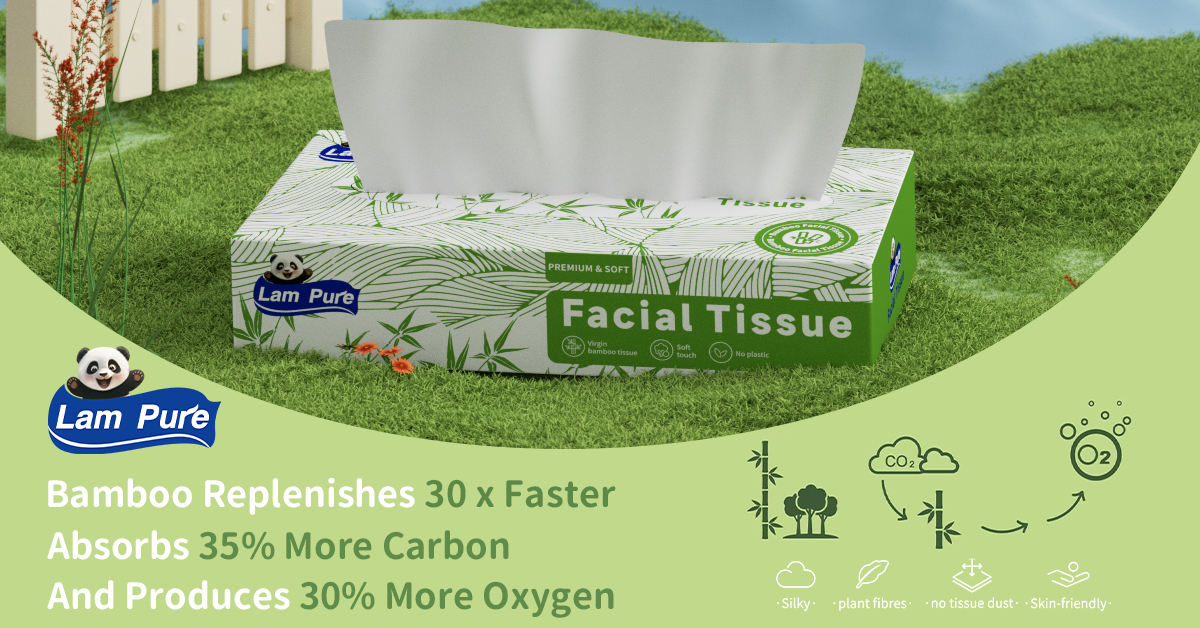 Puree Tissue Scotties Supreme 3 Ply Soft & Strong Facial Tissue Lam Pure Tissues 80 ...