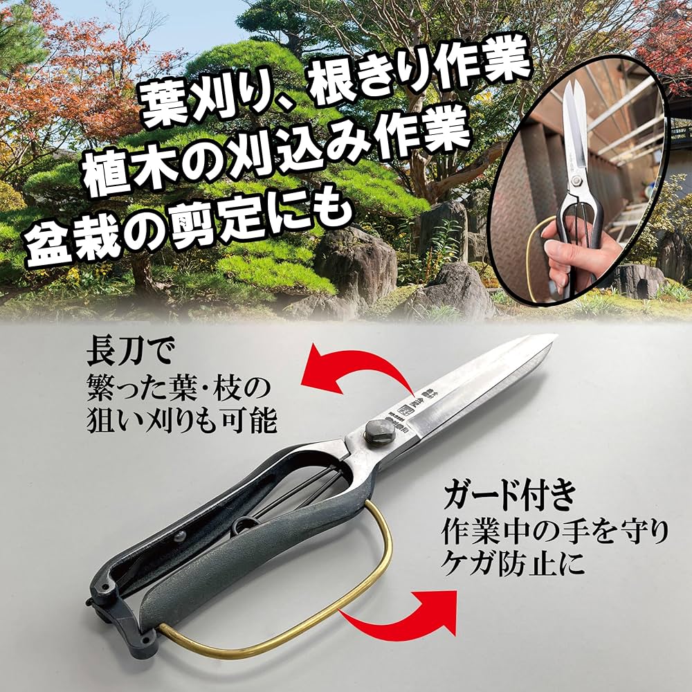 91QP05nDoJL._AC_UF1000,