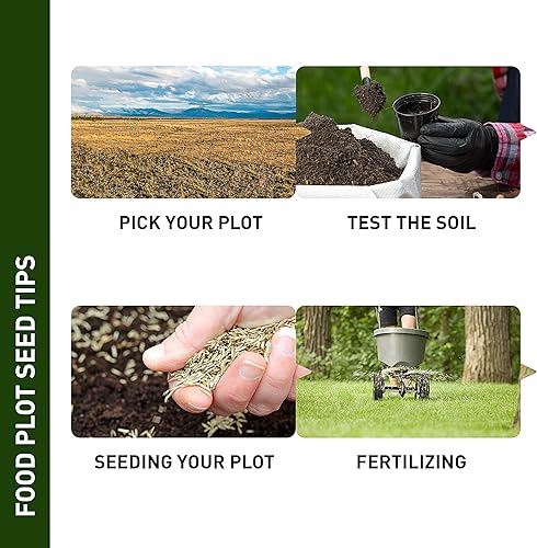 Miniatura 8 de Hancock - Semillas de trama de alimentos para otoño e invierno para ciervos y juegos, alta proteína, mezcla de germinación rápida, bolsa de 40 libras
