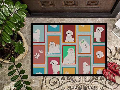 Vista 222 de Caroline's Treasures MLM1087MAT - Felpudo de perro de montaña bernés de 18 x 27 pulgadas, para interiores y exteriores, para entrada, Bernese