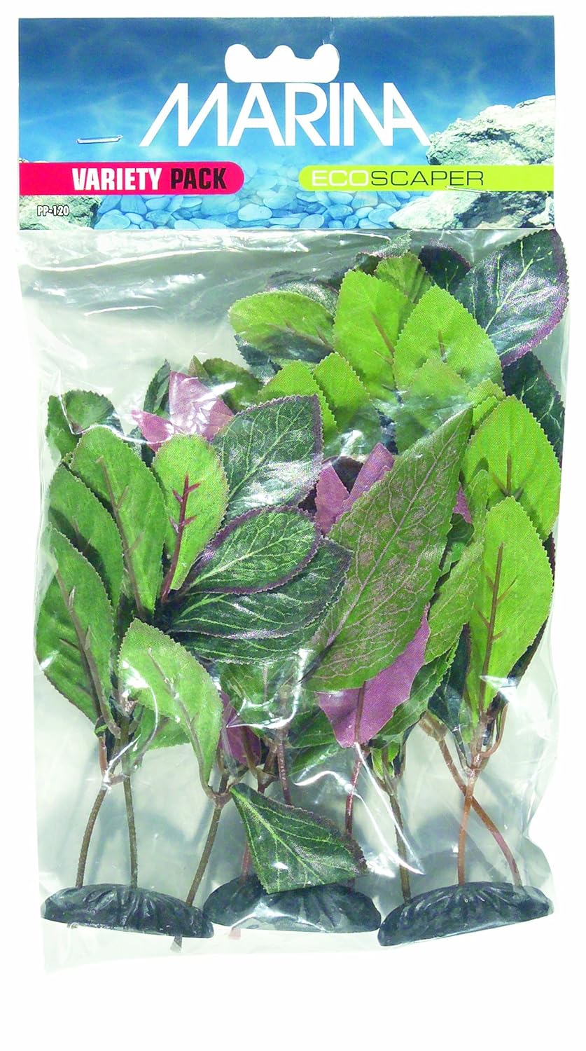 Marina Ecoscaper Variety Pack with Alternanthera Silk Plant, Lobelia